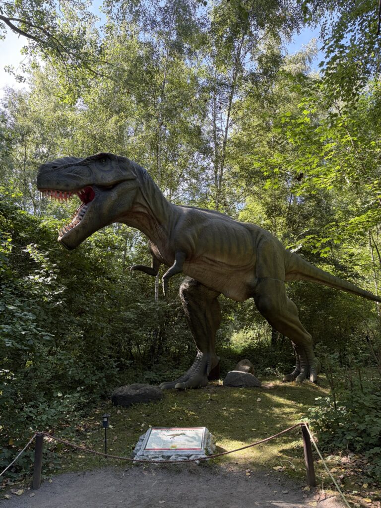 Urlaub auf Rügen – Tag 5 – Dinopark & SoFi